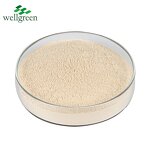 Tremella Mushroom Extract Manufacturer - USDA & EU Organic 30% Powder