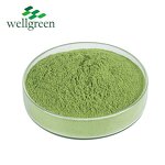 Matcha Green Tea Powder Manufacturer - Organic Ceremonial Grade Halal Pure