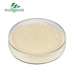 Tea Saponin Powder Manufacturer - Bulk Pure Natural Camellia Oleifera Seed 60%