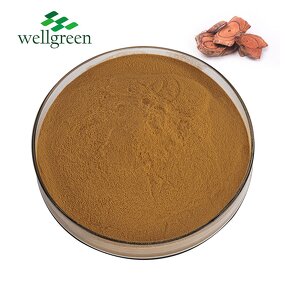 Millettia Extract Powder Manufacturer - Natural Organic Suberect Spatholobus Anthocyanidins