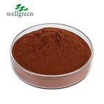 Mimosa Root Bark Extract Powder Manufacturer - Hot Selling Sensitive Plant