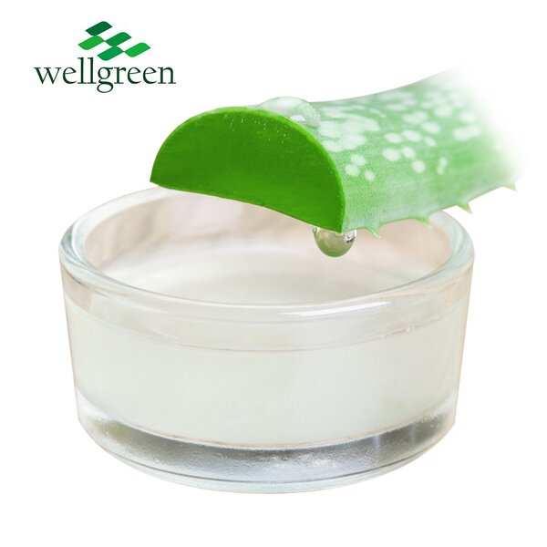 Aloe Vera Extract Powder Manufacturer - Bulk Natural 100% Pure Inner Leaf Gel