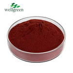 Vitamin B Complex Powder Manufacturer - OEM B1, B2, B3, B6, B7, B9, B12