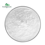 Vitamin D3 Powder Manufacturer - Wellgreen Main Export Cholecalciferol
