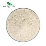 Horse Chestnut Extract Powder Manufacturer - Chinese Supplier Free Sample