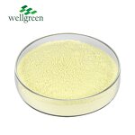 Chlorogenic Acid Powder Manufacturer - Free Sample Food Grade 50% from Green Coffee