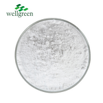 Stigmasterol Powder Manufacturer - Wellgreen Factory Cosmetic Grade 95% CAS 83-48-7