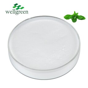 Stevia Extract Powder Manufacturer - Manufacturer Best Price 95% Stevioside
