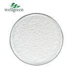 Phenylethyl Resorcinol Powder Manufacturer - Wellgreen Cosmetic Grade 99% Symwhite 377 CAS 85-27-8
