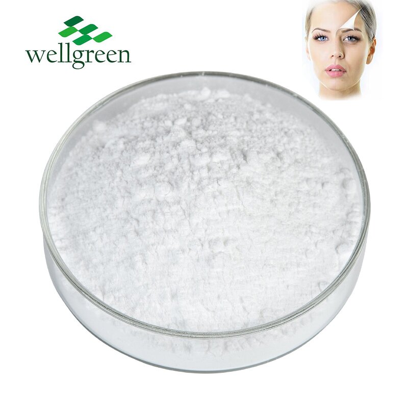 Hyaluronic Acid Powder Manufacturer - Buy Bulk Cosmetic Grade Hydrolyzed