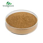 Porcini Extract Manufacturer - 100% Natural 50% Polysaccharides Powder