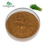 Fennel Extract Powder Manufacturer - Factory Direct OEM from Illicium Verum Seed