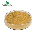 Yucca Extract Powder Manufacturer - Natural Plant Feed Organic