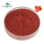 Tomato Powder Manufacturer - Natural Organic Food Grade Spray Dried