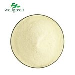 Liposomal Vitamin C Powder Manufacturer - Wellgreen 50% Ascorbic Acid