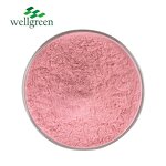 Watermelon Powder Manufacturer - Pure Natural Fruit Freeze Dried