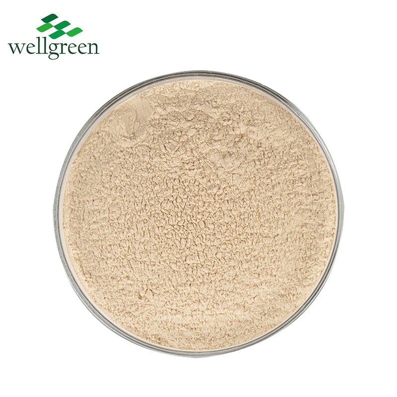 Tremella Mushroom Extract Manufacturer - USDA & EU Organic 30% Powder
