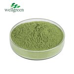 Wild Lettuce Powder Manufacturer - Free Sample Water Soluble Natural Vegetable