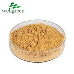 Yucca Extract Powder Manufacturer - Root Saponin Water Soluble Sarsaponin
