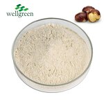 Horse Chestnut Extract Powder Manufacturer - Chinese Supplier Free Sample
