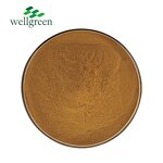 Millettia Extract Powder Manufacturer - Natural Organic Suberect Spatholobus Anthocyanidins