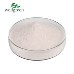 Mangosteen Powder Manufacturer - Organic Fruit Extract Purple Peel Concentrate