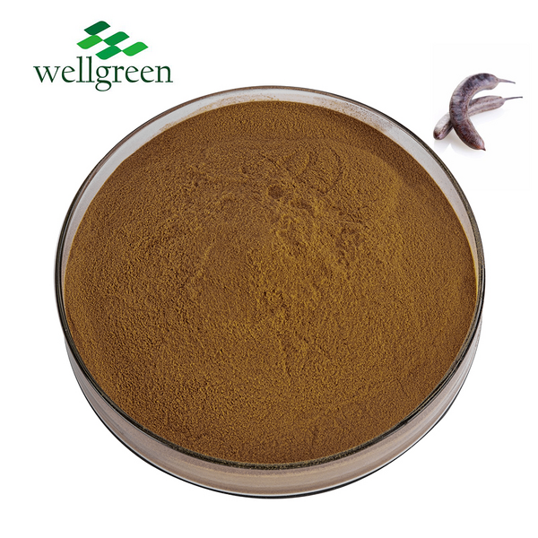 Shikakai Powder Manufacturer - Wellgreen Natural 10:1 from Pods for Shampoo