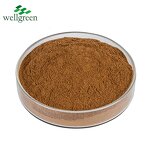 Cordyceps Sinensis Extract Manufacturer - Chinese Caterpillar Fungus Polysaccharide