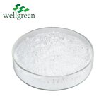 Stigmasterol Powder Manufacturer - Wellgreen Factory Cosmetic Grade 95% CAS 83-48-7