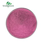Dragon Fruit Powder Manufacturer - Superior Food Grade Freeze Dried Water Soluble