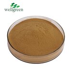 Rosemary Extract Powder Manufacturer - HALAL Certificate 5%-98% Rosmarinic Acid