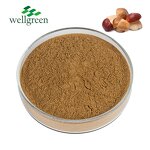 Porcini Extract Manufacturer - 100% Natural 50% Polysaccharides Powder
