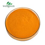 Riboflavin Powder Manufacturer - USP Food Grade 80% CAS 83-88-5