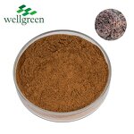 Mushroom Extract Powder Manufacturer - Wellgreen Organic Shiitake, Maitake, Reishi Blend