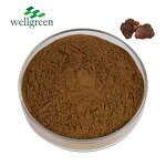 Shiitake Mushroom Extract Manufacturer - Wellgreen USDA 30% & 50% AHCC Powder