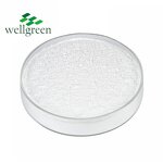 D-Biotin Powder Manufacturer - Wellgreen Bulk Pure Vitamin H for Hair Growth