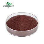 Canthaxanthin Powder Manufacturer - Pure Food Grade 10%