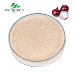 Onion Powder Manufacturer - Gold Supplier Dehydrated Organic Red, Green, White