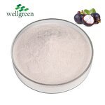 Mangosteen Powder Manufacturer - Organic Fruit Extract Purple Peel Concentrate