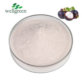 Mangosteen Powder Manufacturer - Organic Fruit Extract Purple Peel Concentrate