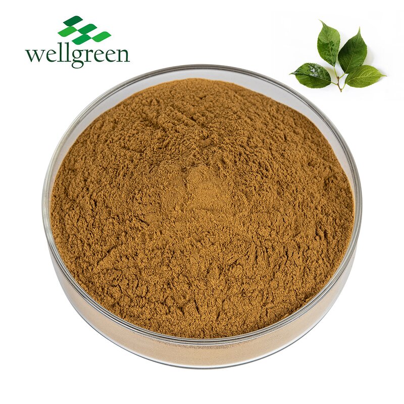 Eucommia Extract Manufacturer - Feed Additives 10% Chlorogenic Acid
