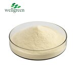 Lemon Powder Manufacturer - Freeze Dried Peel Organic Fruit Juice Extract