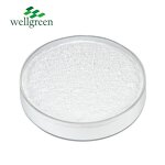 Phenylethyl Resorcinol Powder Manufacturer - Wellgreen Cosmetic Grade 99% Symwhite 377 CAS 85-27-8