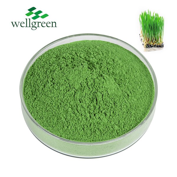 Wheat Grass Powder Manufacturer - Water Soluble Organic Freeze Dried
