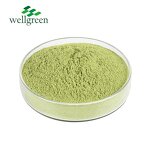 Cucumber Powder Manufacturer - China 100% Natural Freeze Dried Organic