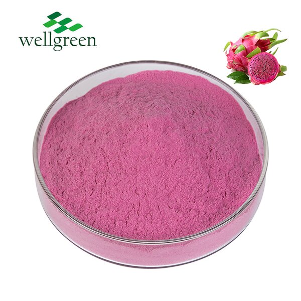 Dragon Fruit Powder Manufacturer - 100% Natural Organic Freeze Dried Red Pitaya