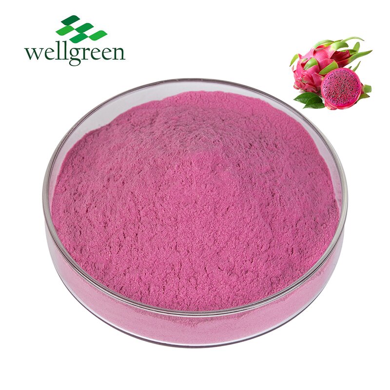 Dragon Fruit Powder Manufacturer - 100% Natural Organic Freeze Dried Red Pitaya