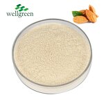 Almond Powder Manufacturer - Juice Nutrition Casa Shell Instant Milk Flour Protein