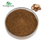 Mushroom Extract Powder Manufacturer - Wellgreen Organic Shiitake, Maitake, Reishi Blend