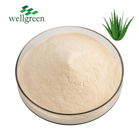 Aloe Vera Powder Manufacturer - Wellgreen Spray Dried Freeze-Dried 200:1 Gel